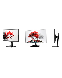 Мониторы RDW Computers в MIDICT